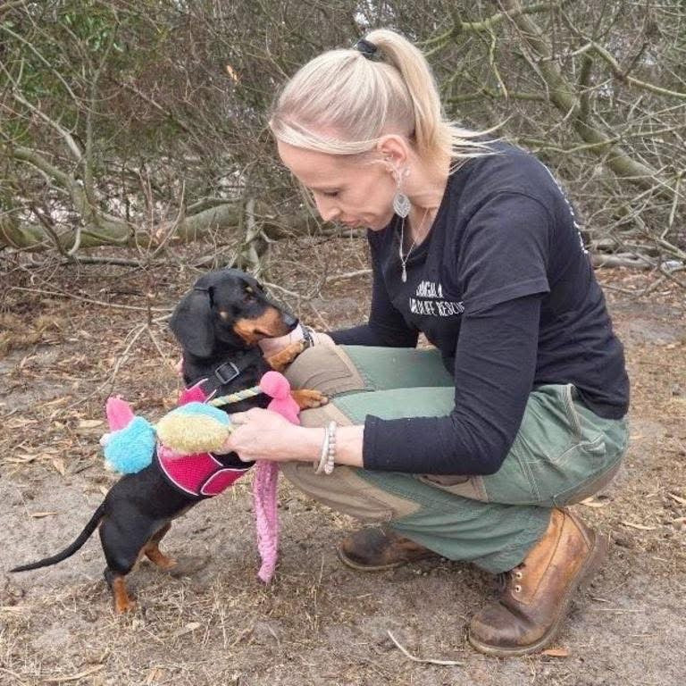 Should We Call It the Valerie Hug Me Harness?