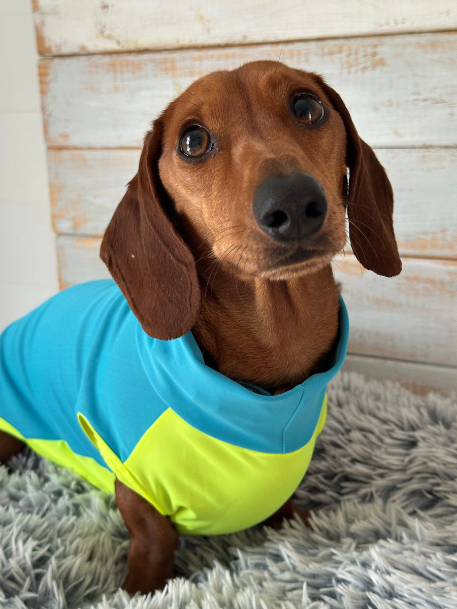 Blue High Viz Yellow SPF50 Dachsie Rashie – 2RoyalHounds