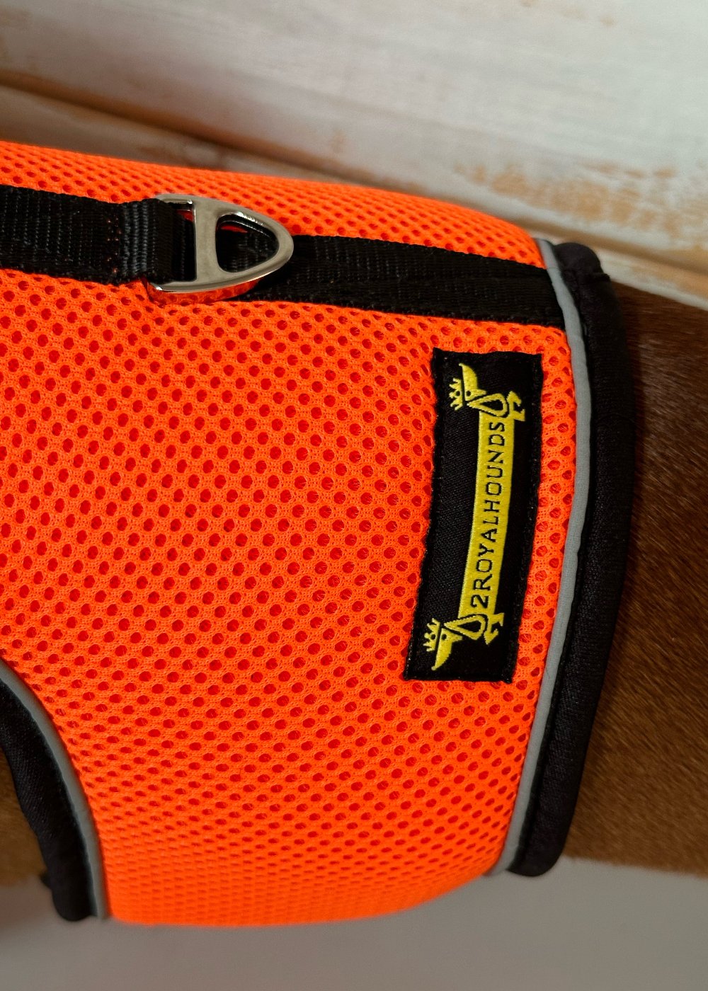 High Viz Orange OxyMesh Dog Harness – Perfect Fit for