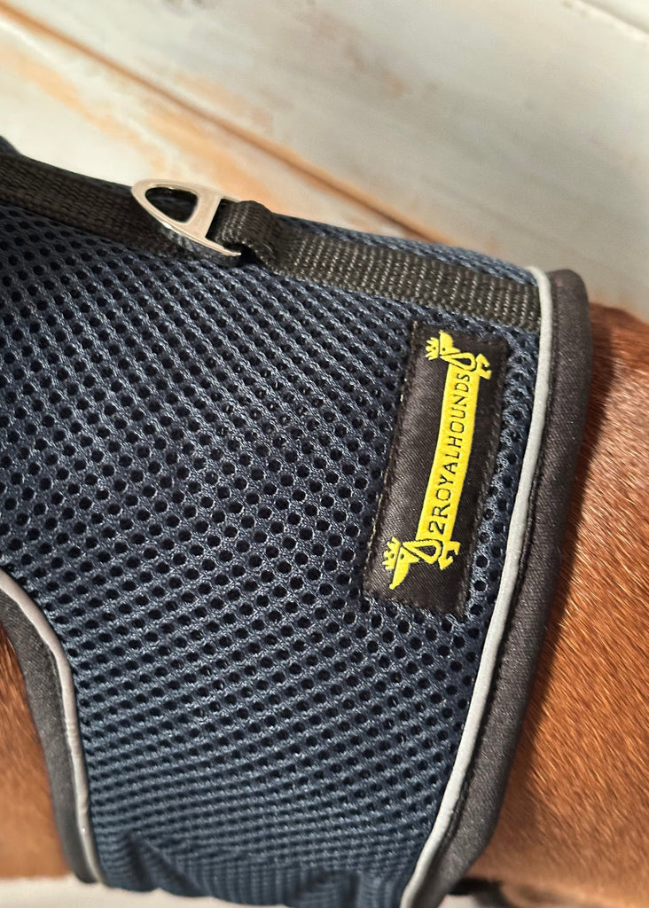 dog mesh harness