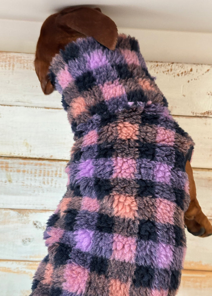 Dog wearing a checkered sweater with pink, purple, and black pattern on a wooden background